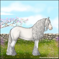 Horse Color:Cremello Dun Tobiano