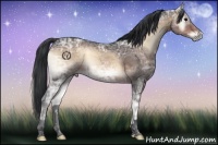 Horse Color:Void Brown Ice Onyx