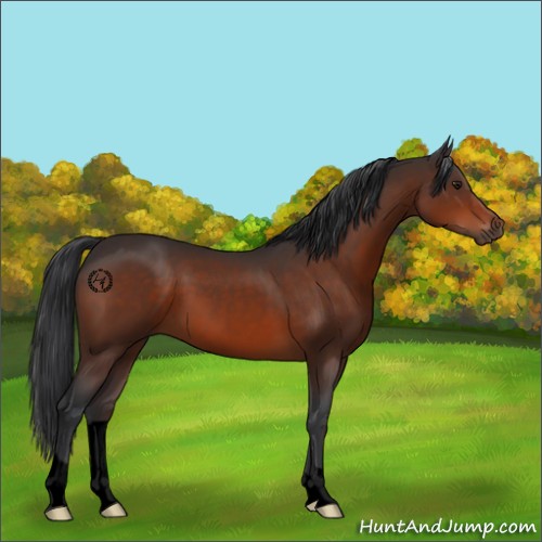 Horse Color:Void Brown 