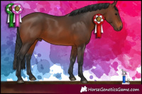 Horse Color:Brown 