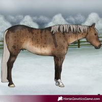 Horse Color:Gray Silver Brown Dun Brindle 