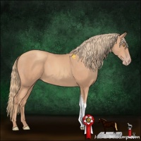 Horse Color:Gold Champagne 