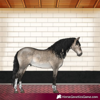 Horse Color:Gray Brown Dun Mushroom Tobiano Rabicano