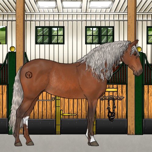 Horse Color:Silver Bay Rabicano 