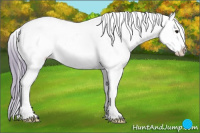 Horse Color:Watercolor Bay Appaloosa 