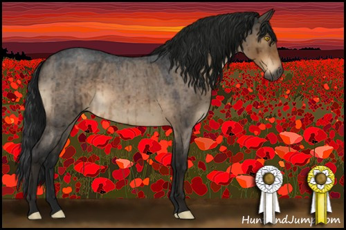 Horse Color:Gray Brown Roan Dun Brindle 