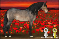 Horse Color:Gray Brown Roan Dun Brindle 