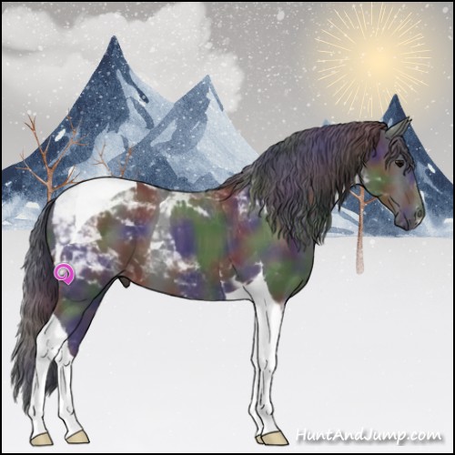 Horse Color:Nacre Black Tobiano