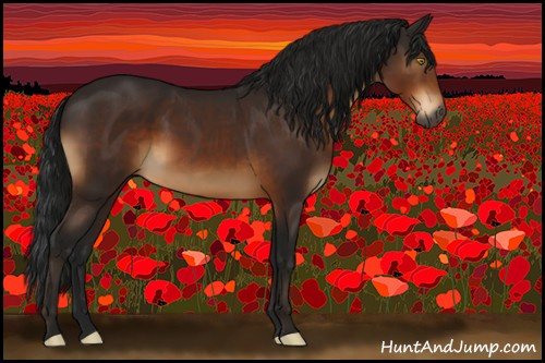 Horse Color:Gray Brown 