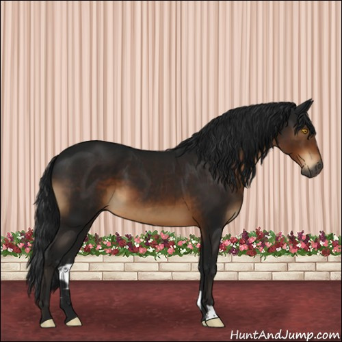 Horse Color:Gray Brown 