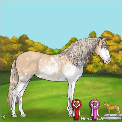 Horse Color:Gold Champagne Sabino Rabicano 