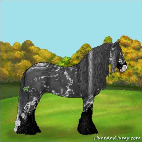 Horse Color:ERROR: UNKNOWN ANOMALY