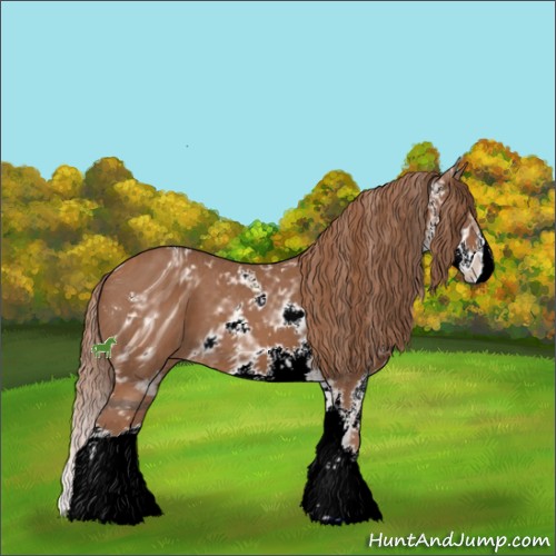 Horse Color:ERROR: UNKNOWN ANOMALY