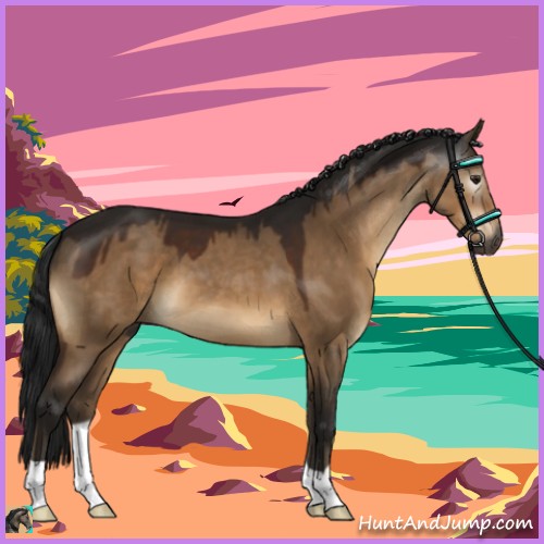 Horse Color:Gray Bay Dun 