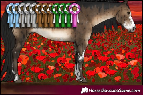 Horse Color:Gray Brown Dun Sabino Brindle 