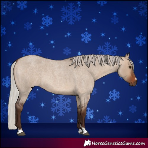 Horse Color:Silver Brown Roan Dun 