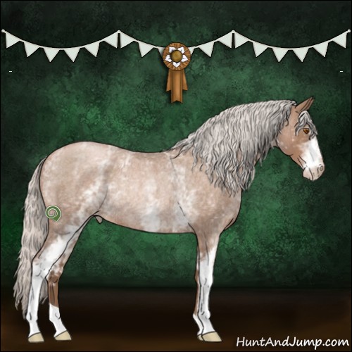 Horse Color:White Spotted Silver Blue Roan Pearl Rabicano 