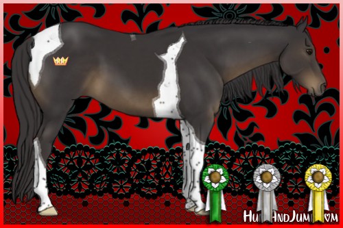 Horse Color:Smoky Black Tobiano 