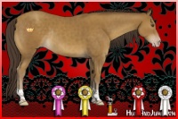 Horse Color:Classic Cream Champagne Tobiano Rabicano