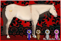 Horse Color:Amber Champagne Dun