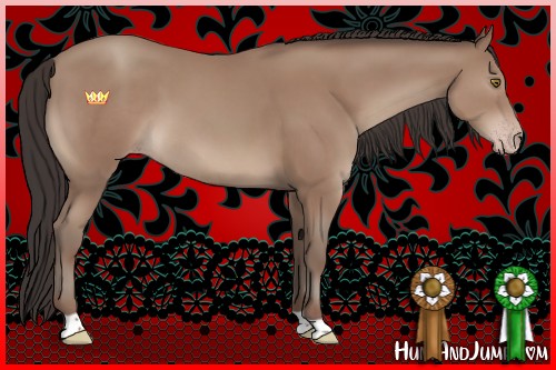 Horse Color:Classic Champagne 