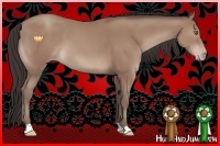 Horse Color:Classic Champagne 