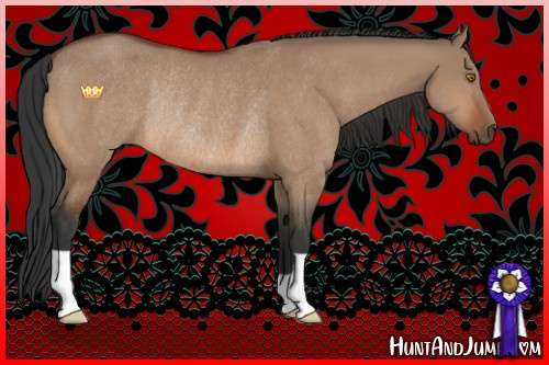 Horse Color:Bay Dun Rabicano 