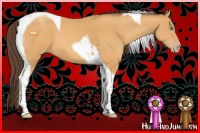 Horse Color:Sable Cream Champagne Tobiano 