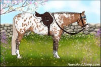 Horse Color:Chestnut Splash Tobiano Appaloosa  and Silver Bay Splash Tobiano Appaloosa 