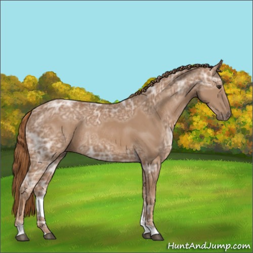 Horse Color:Chestnut Ice Rabicano 