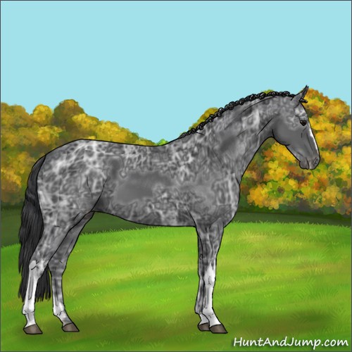 Horse Color:Black Ice 