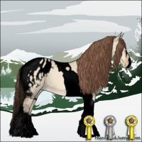 Horse Color:Void Amber Champagne Dun Tobiano Appaloosa 