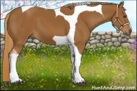 Horse Color:Chestnut Tobiano