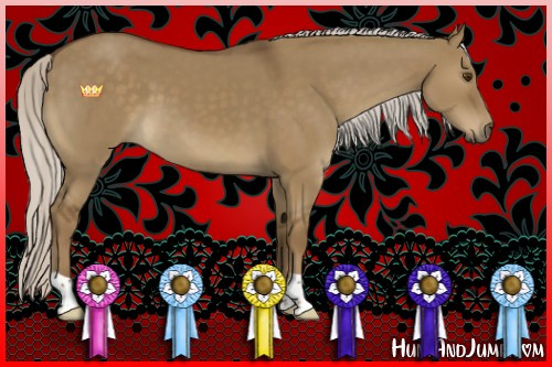 Horse Color:Silver Smoky Grullo 