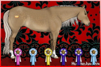 Horse Color:Silver Smoky Grullo
