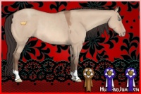Horse Color:Sable Champagne Dun Rabicano