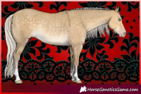 Horse Color:Silver Classic Cream Champagne Dun Rabicano 