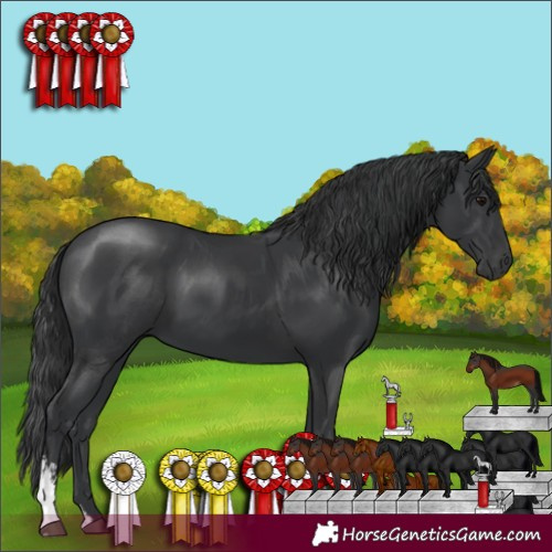 Horse Color:Black Sabino 
