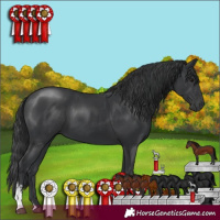 Horse Color:Black Sabino