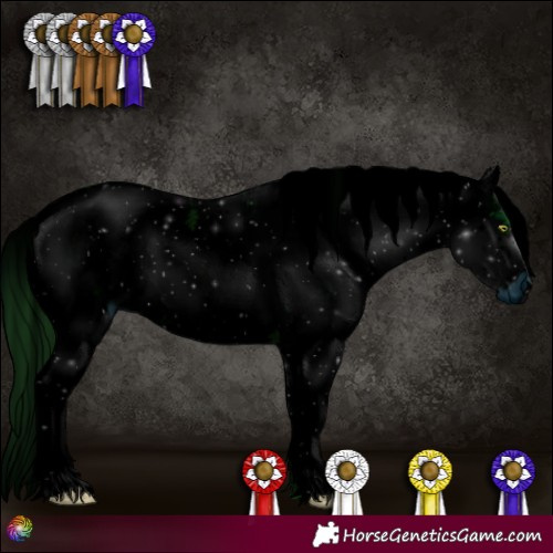 Horse Color:ERROR: UNKNOWN ANOMALY