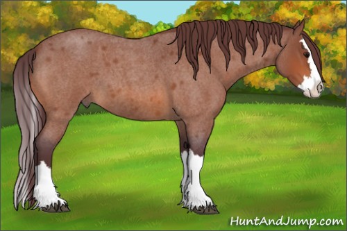 Horse Color:Chocolate Bay Roan Splash