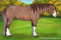 Horse Color:Chocolate Bay Roan Splash 