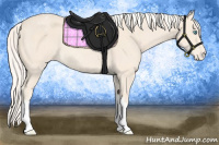 Horse Color:Cremello Appaloosa Rabicano 