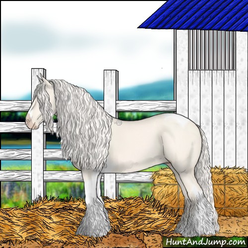 Horse Color:Cremello Dun Tobiano 
