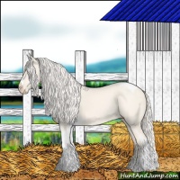 Horse Color:Cremello Dun Tobiano