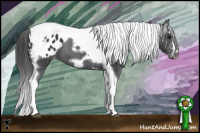 Horse Color:Black Splash Tobiano Frame Blanket 