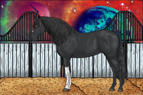 Horse Color:Black 
