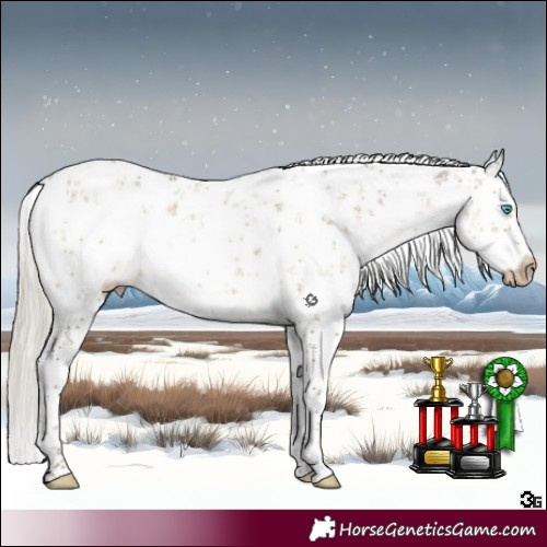 Horse Color:Gray White Spotted Silver Smoky Grullo Pearl Sabino Brindle 