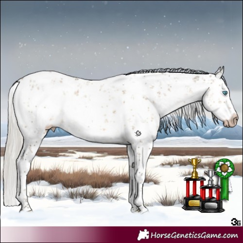 Horse Color:Gray White Spotted Silver Smoky Grullo Pearl Sabino Brindle 