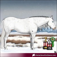 Horse Color:Gray White Spotted Silver Smoky Grullo Pearl Sabino Brindle 